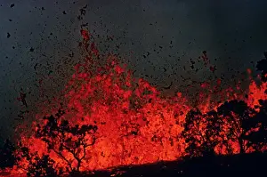Erupted Prints: Volcanic eruption, tree silhouetted by molten lava erupting