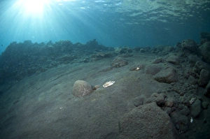 Sandy Prints: Volcanic sand and sunbeams underwater