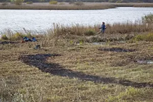 Volunteer warden performing annual reedbed cutting and burning around Island Mere Hide, Minsmere RSPB Reserve, Suffolk