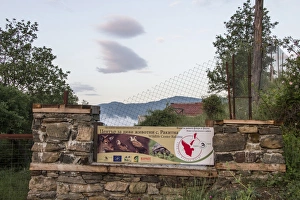 Centre Prints: The vulture reintroduction centre at Rakitna, near Kresna gorge Bulgaria