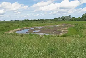 Droughts Prints: Wader scrape drying out during drought conditions in Higher Level Stewardship scheme land