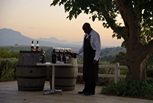 Cape Prints: Waiter pouring wine on wine estate at sunset