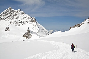 Walk Prints: Walkers walking on snow covered mountain