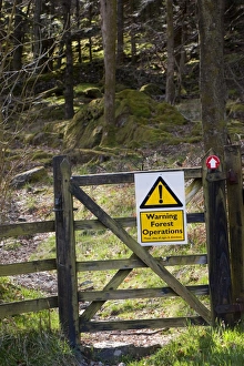 Gates Prints: Warning, Forest Operations sign on footpath gate, England, april