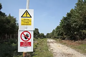 Stacks Prints: Warning, Timber Lorries Loading and Do not climb on timber stacks signs beside track in forest