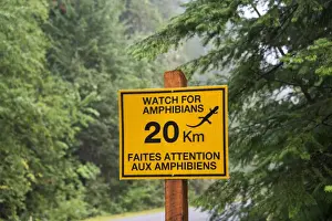Coniferous Prints: Watch For Amphibians bilingual sign beside road in coniferous forest