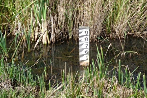 Marker Prints: Water depth gauge in marsh RSPB Minsmere Suffolk
