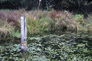 Marker Prints: Water level depth gauge in pond at edge of fen