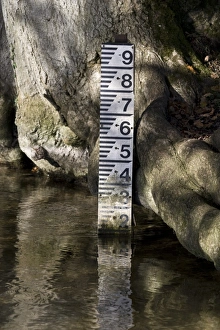 Marker Prints: Water level depth marker in chalk stream, River Piddle, Dorset, England, november