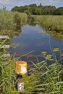 Environmental Prints: Water level depth marker in freshwater dyke