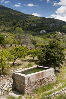 Costa Blanca Prints: Water storage for almond and citrus orchard