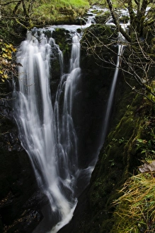 Ravine Prints: Waterfall cascading through narrow ravine