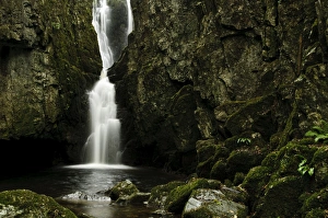 Waterfall cascading through narrow ravine, Catrigg Force, Stainforth Beck, Stainforth, Yorkshire Dales N. P