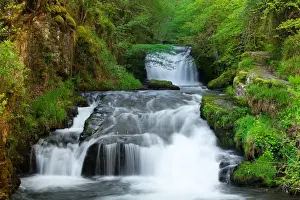 Falls Prints: Waterfall situated at confluence of East Lyn River and Hoar Oak Water