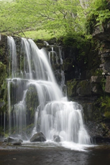 Water Fall Prints: Waterfall on stream, East Gill Force