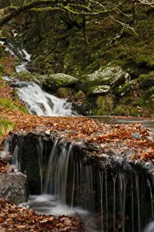 Reservoirs Prints: Waterfalls on stream Nant Dolfolau tumbling down hillside into Garreg Ddu Reservoir