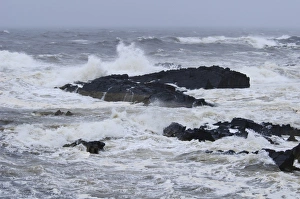 Storm Prints: Waves crashing against rocks in stormy weather on east coast