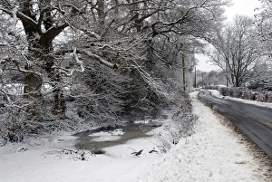 Sussex Prints: Wayside pond with ice and snow on lane