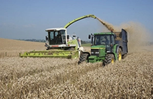Trailer Prints: Wheat (Triticum aestivum) crop
