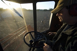 Driving Prints: Wheat (Triticum aestivum) crop