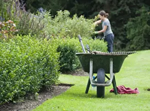 Lawns Prints: Wheelbarrow on lawn at edge of borders