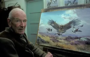 Golden Prints: Wildlife artist J. C. Harrison (Jack) painting a Golden Eagle hunting Red Grouse