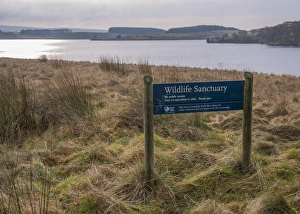 Reservoirs Prints: Wildlife Sanctuary sign at edge of reservoir