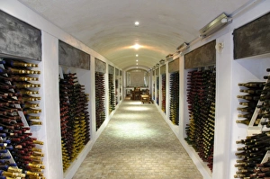 Cape Prints: Wine bottles stored in cellar, Boschendal Vineyard, Franschoek, Western Cape, South Africa