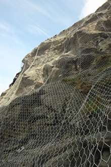 Protects Prints: Wire netting used for sea cliff erosion defence, Cornwall, England, april