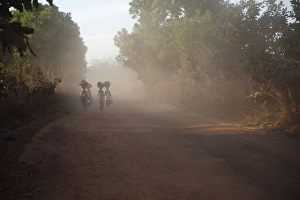 Dirt Prints: Women carrying goods for market on heads, walking on dusty dirt road, Gambia