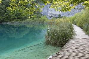 Wooden boardwalk at edge of lake, Plitvice Lakes N. P. Croatia, July