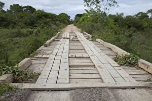 Dirt Prints: Wooden bridge along road, Transpantaneira, Pantanal, Mato Grosso, Brazil
