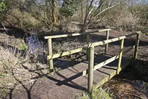 Natue Prints: Wooden footbridge over stream in deciduous woodland habitat