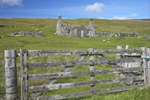 Croft Prints: Wooden gate and sheep grazing beside derelict croft