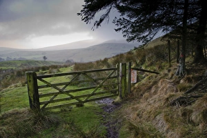 Gates Prints: Wooden gate in upland habitat, looking towards Bowland Fells