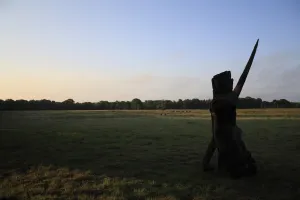 Sculptures Prints: Wooden sculpture silhouetted on rough pasture and acid grassland habitat at dawn