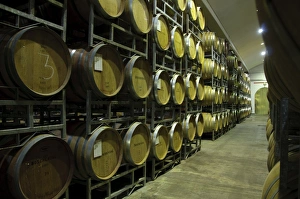 Cape Prints: Wooden wine casks in cellar, Boschendal Vineyard, Franschoek, Western Cape, South Africa