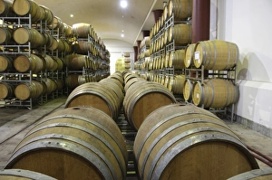 Wooden wine casks in cellar, Boschendal Vineyard, Franschoek, Western Cape, South Africa