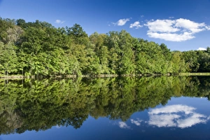 Eastern Seaboard Prints: Woodland and clouds reflected in quiet lake