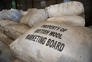 Bags Prints: Wool bags ready for transport to British Wool Marketing Board Bradford Centre
