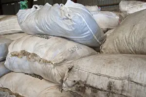 Wool bags ready for transport to British Wool Marketing Board Bradford Centre, Jervaulx, Masham, Ripon