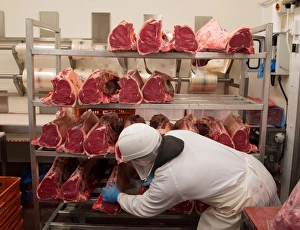Jobs Prints: Worker with sirloin joints of beef in abattoir, Yorkshire, England, February