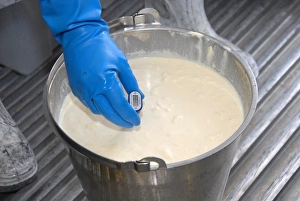 Jobs Prints: Worker taking temperature from bucket of cream