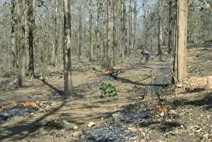 Burning Prints: Workers putting burning fireline to avoid forest fire during summer season