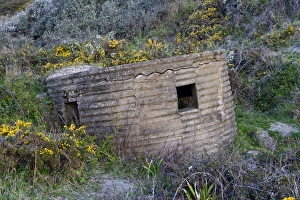 Defence Prints: World War Two FW3 Type 25 pillbox overlooking beach, Ringstead Bay, Dorset, England, April
