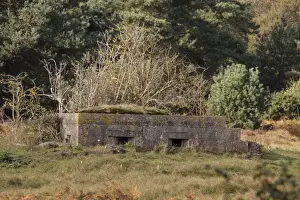 Defence Prints: World war two Pillbox at Aldringham walks conservation area