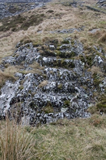 Quarry Prints: Worn stairway in abandoned slate mine