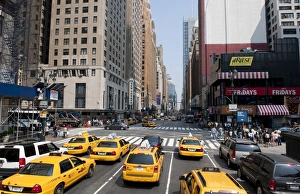 Cars Prints: Yellow taxis driving on road in city