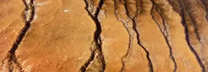 Yellowstone Prints: Yellowstone Bacteria and mineral traces such as iron oxide colour thermal run offs - Yellowstone