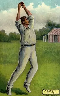 Fred Howard. Cricket 2